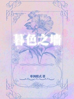 暮色之墻