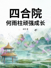 《四合院：何雨柱顽强成长》小说章节列表免费试读，何雨柱小说在线阅读-蓝天文学