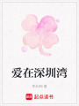 愛在深圳灣