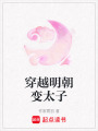 穿越明朝變太子