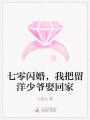 七零閃婚，我把留洋少爺娶回家