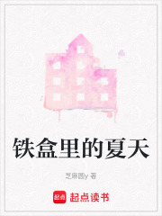 鐵盒里的夏天