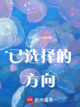 已選擇的方向