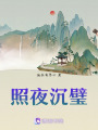 照夜沉璧