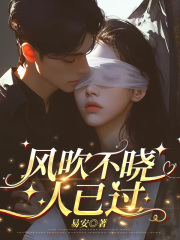 风吹不晓人已过（沈梨初陆聿珩）小说无删减最新章节阅读