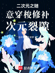 二次元之隨意穿梭修補次元裂隙