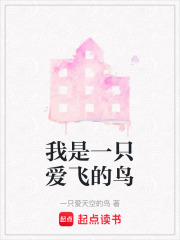 我是一只愛飛的鳥