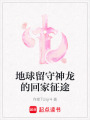 地球留守神龍的回家征途