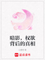 暗影，權欲背后的真相