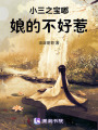 小三之寶嘟娘的不好惹