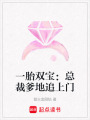 一胎雙寶：總裁爹地追上門