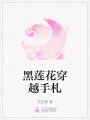 黑蓮花穿越手札