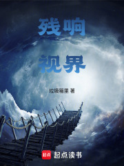 殘響視界