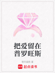 把愛留在普羅旺斯