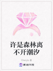 許是森林離不開潮汐
