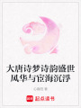大唐詩夢詩韻盛世風(fēng)華與宦海沉浮