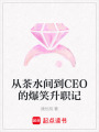 從茶水間到CEO的爆笑升職記
