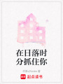 在日落時分抓住你