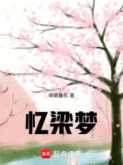 憶梁夢(mèng)