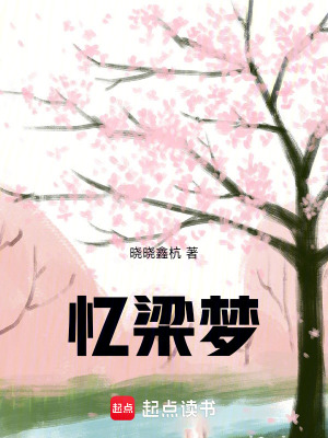 憶梁夢