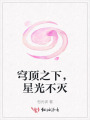 穹頂之下，星光不滅