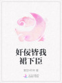奸佞皆我裙下臣