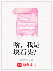 啥，我是塊石頭？