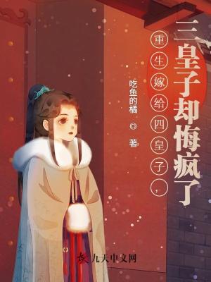 重生嫁給四皇子，三皇子卻悔瘋了