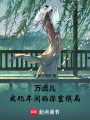 萬貞兒：成化年間的深宮棋局