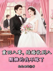 重回八零，结婚收到八颗糖的我不嫁了美琴沈怀仁，重回八零，结婚收到八颗糖的我不嫁了在线无弹窗阅读-给力文学