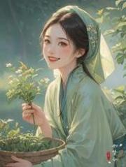 主人公叫曲之宜钱召的小说哪里免费看