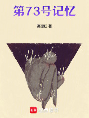 第73號記憶