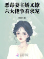 惡毒妻主嬌又撩，六大佬爭著求寵