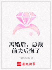 離婚后，總裁前夫后悔了