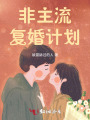 非主流復婚計劃