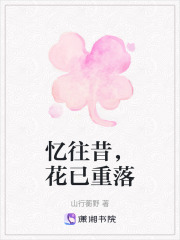 憶往昔，花已重落