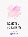 憶往昔，花已重落