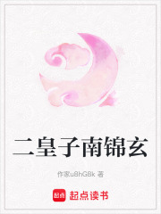 二皇子南錦玄