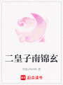 二皇子南錦玄