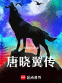 唐曉翼傳