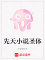 先天小說圣體