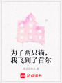為了兩只貓，我飛到了首爾