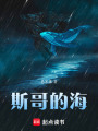 斯哥的海