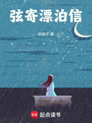 弦寄漂泊信
