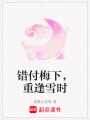 錯付梅下，重逢雪時