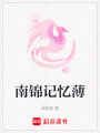 南錦記憶薄