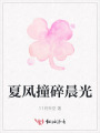 夏風(fēng)撞碎晨光