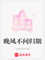 晚風(fēng)不問歸期