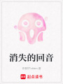 消失的回音