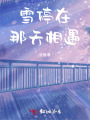 雪停在那天相遇